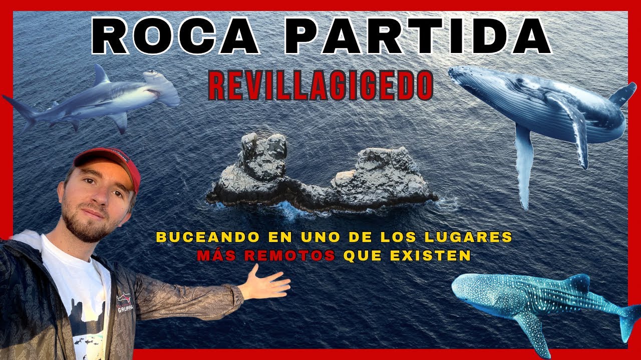 ROCA PARTIDA 🪨 🌊 | Buceo en uno de los LUGARES MÁS LEJANOS QUE EXISTEN 🐬 🐋 🦈  -📍 REVILLAGIGEDO