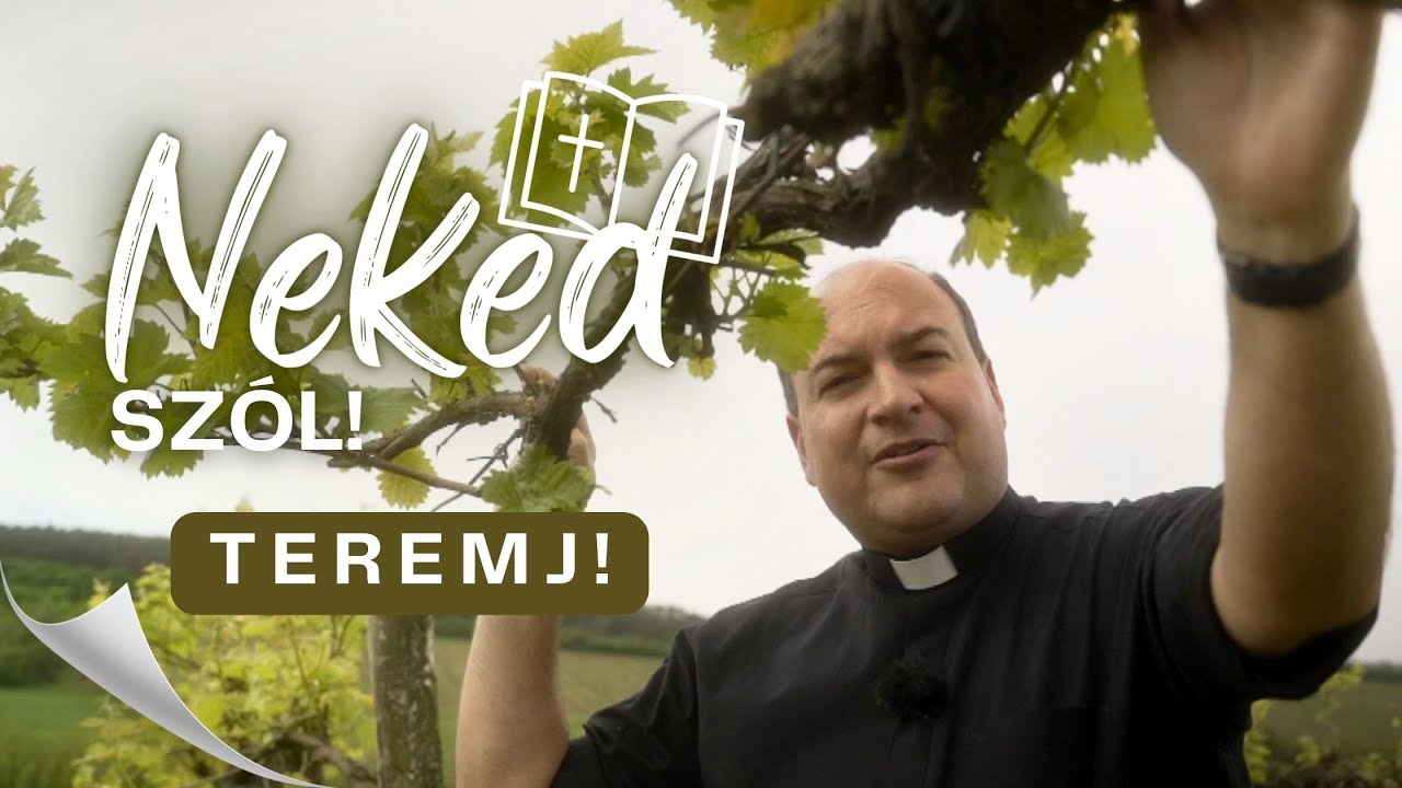 TEREMJ! - Neked szól!