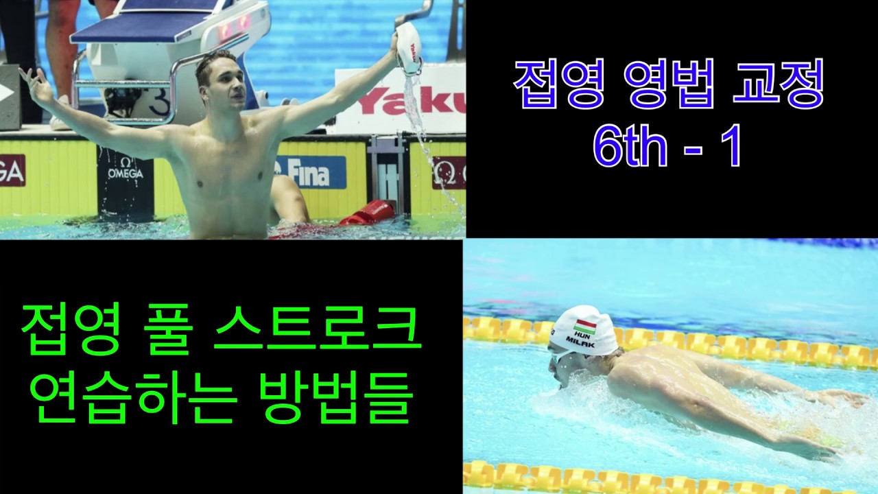 접영 영법 교정 6th - 1 ( 접영 풀 스트로크 연습하는 방법들 )