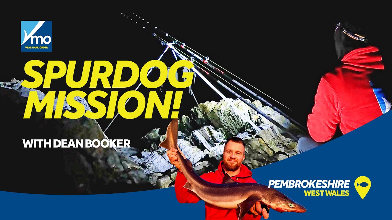 West Wales Spurdog Mission! With Dean Booker