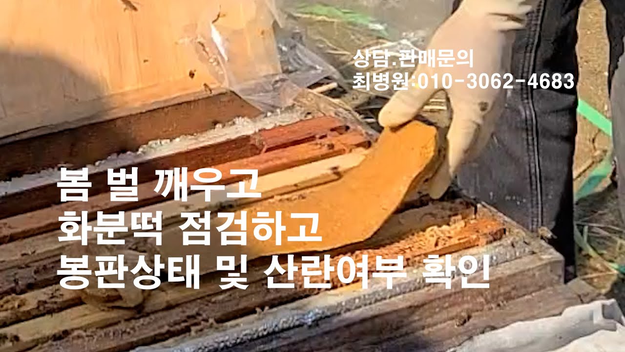 봉판상태 및 산란여부 확인