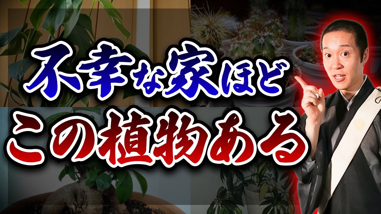あの幸運を呼ぶ植物が実は...。貧乏神や悪運を引き寄せる危険な観葉植物５選