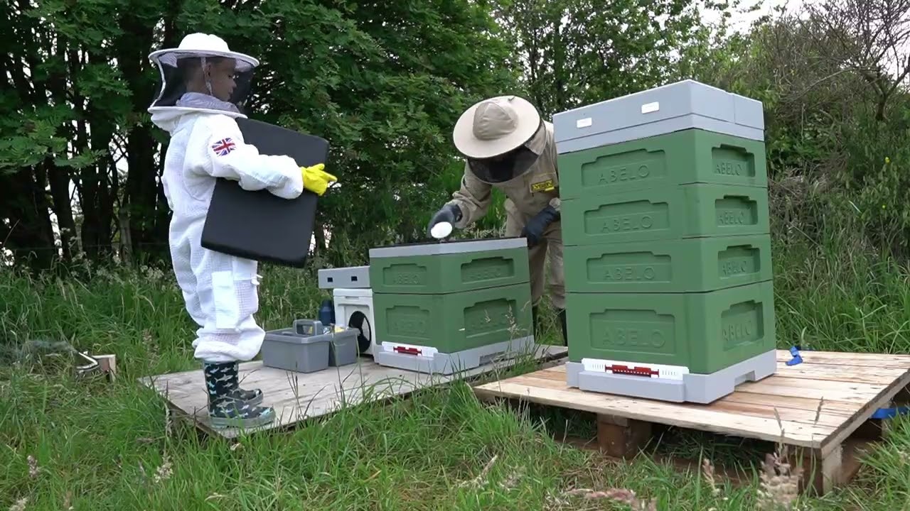Did we save the colony? | Becoming a Beekeeper | Episode 6