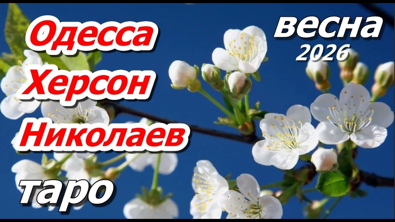 таро. Одесса. Херсон. Николаев. город народ власть ресурсы Весна 26 #таропрогноз