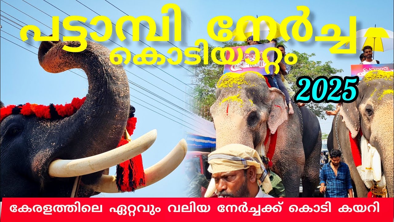 പട്ടാമ്പി നേർച്ച കൊടിയേറ്റത്തിന്റെ കാഴ്ചയും ചരിത്ര വും#lathevlogs #keralatourism #pattambi