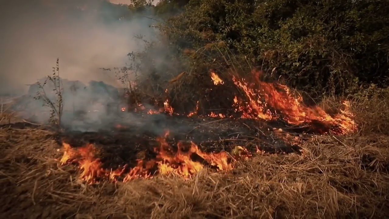 🔥 Prevención de Incendios Forestales: La responsabilidad es de todos