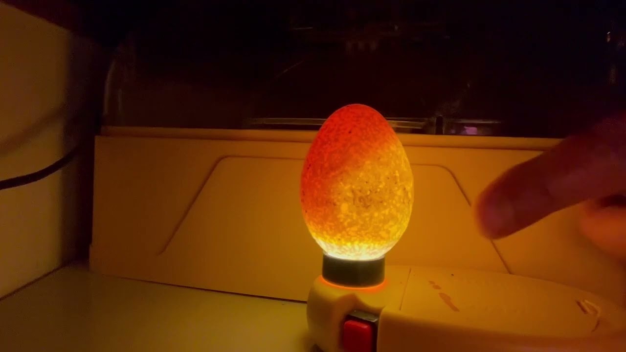 Candling Turkey Eggs