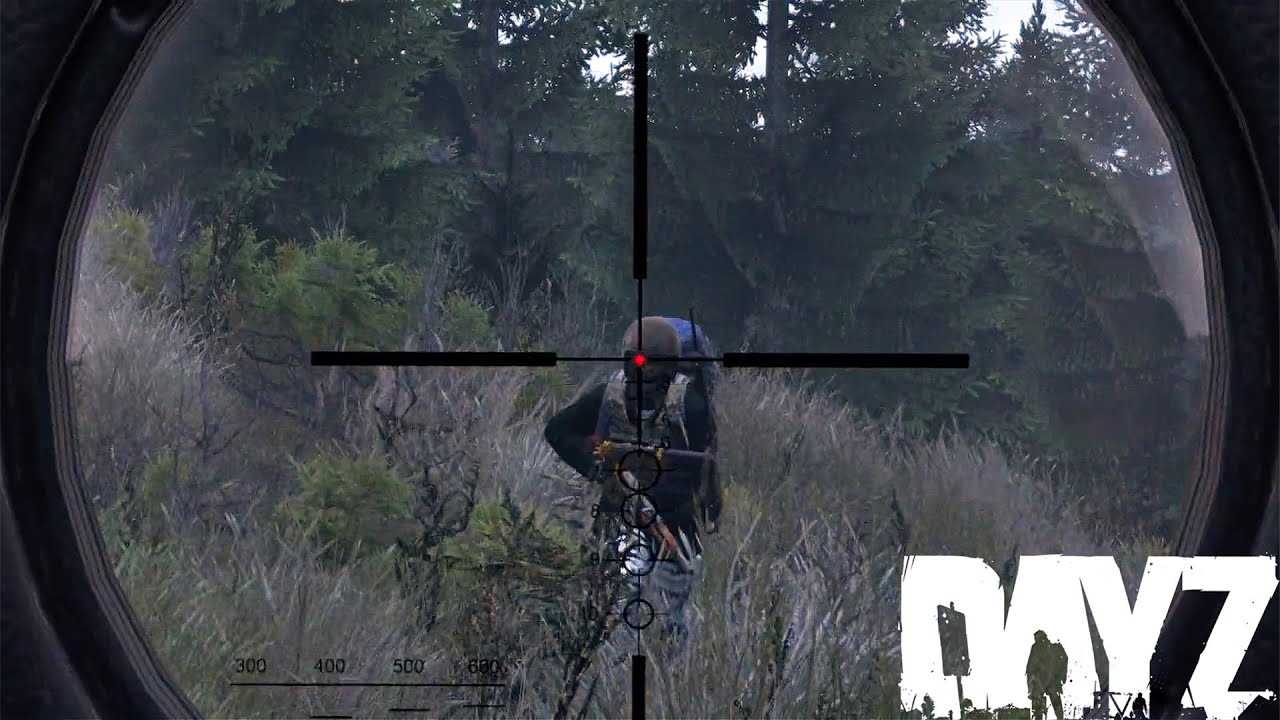 Уникальные моменты №2 — DayZ