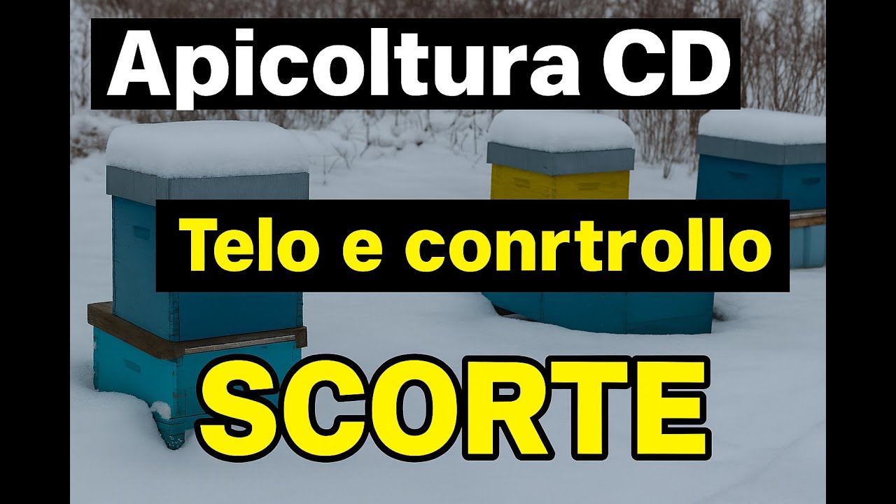 Apicoltura CD: Le ultime cure prima dell’inverno: api, scorte e telo protettivo
