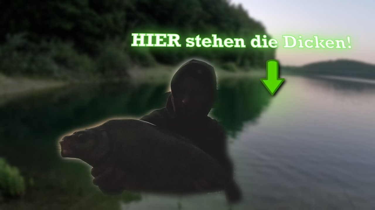 Bigge Biss Teil IV: Auf Friedfisch an der Talsperre 🎣