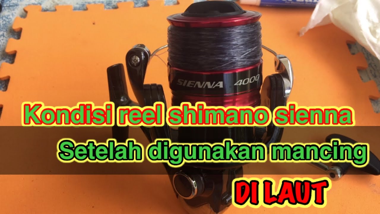 Maintenance reel shimano sienna 4000||setelah digunakan di laut