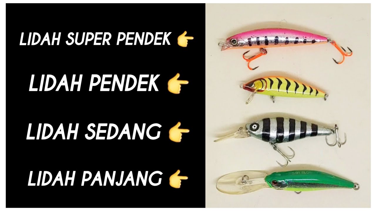 Fungsi lidah umpan minnow!! Pemula Wajib Tau. Review umpan casting
