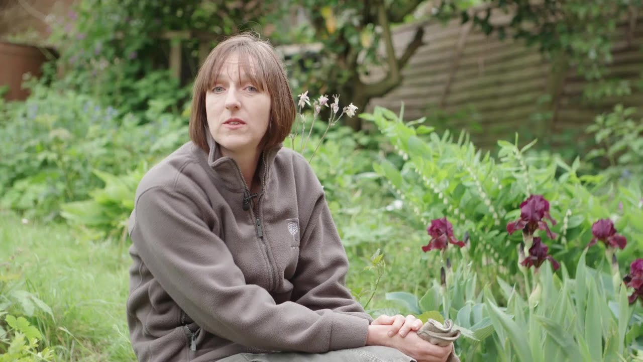 How to make a mini garden in your paving | The RHS