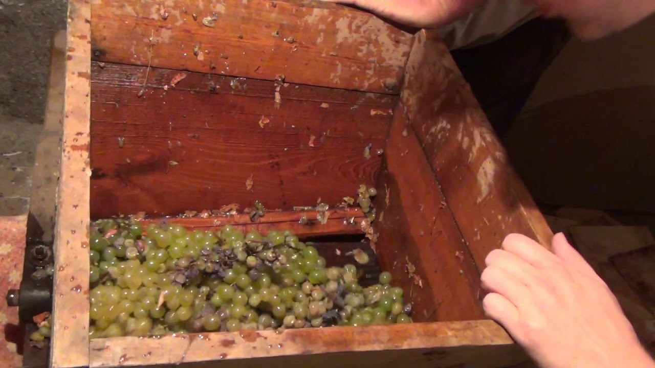 Qvevri Georgian Wine Making