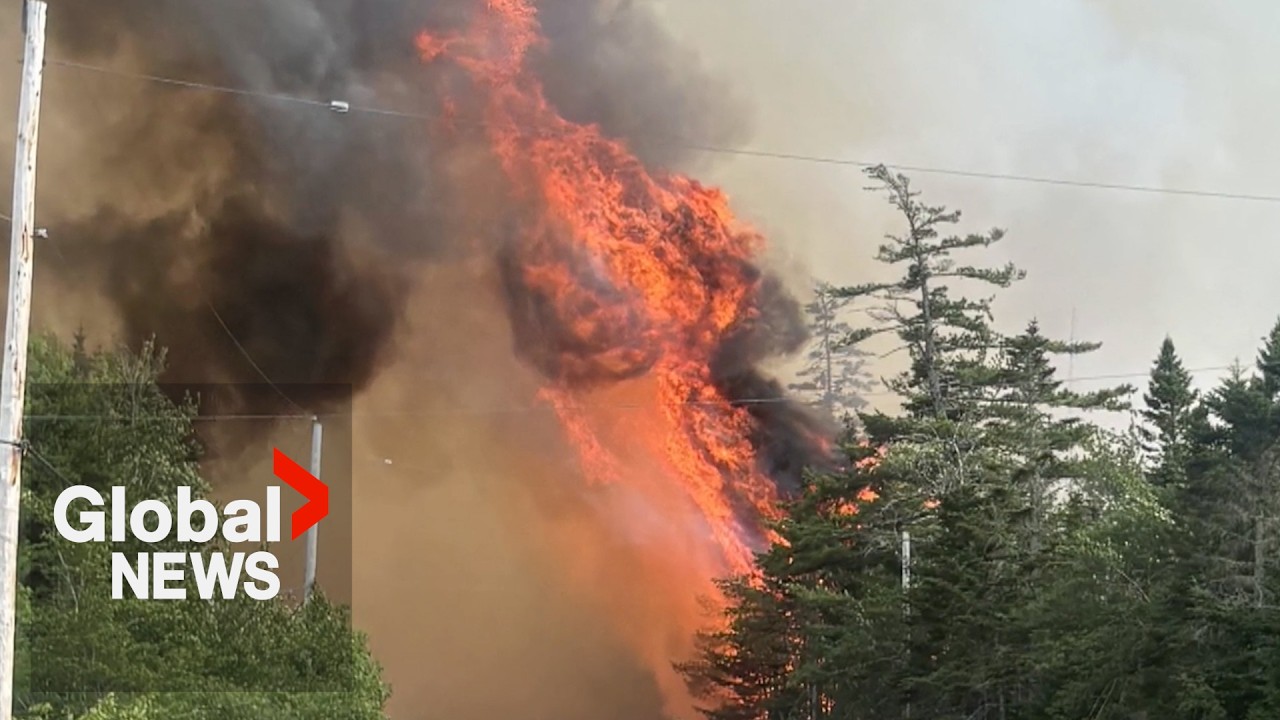 Wildfire in Nova Scotia grows to 2,000 hectares as water bombers attempt to douse