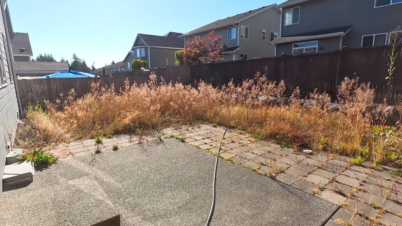 NEW CONSTRUCTION Landscaping Disaster Gets Cleaned-Up!