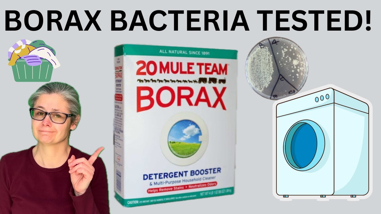 Borax vs Bacteria: Can it Really Remove Bacteria in Laundry?