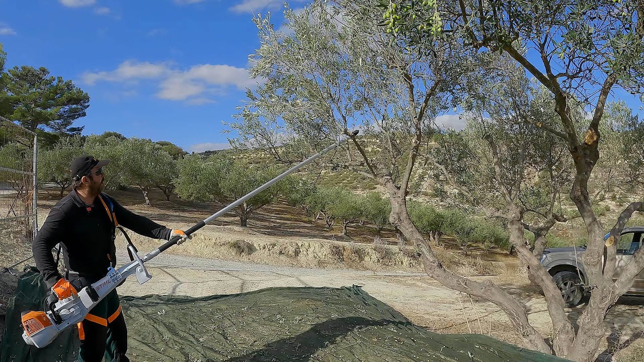 Δοκιμάζουμε το δονητικό STIHL SP 452