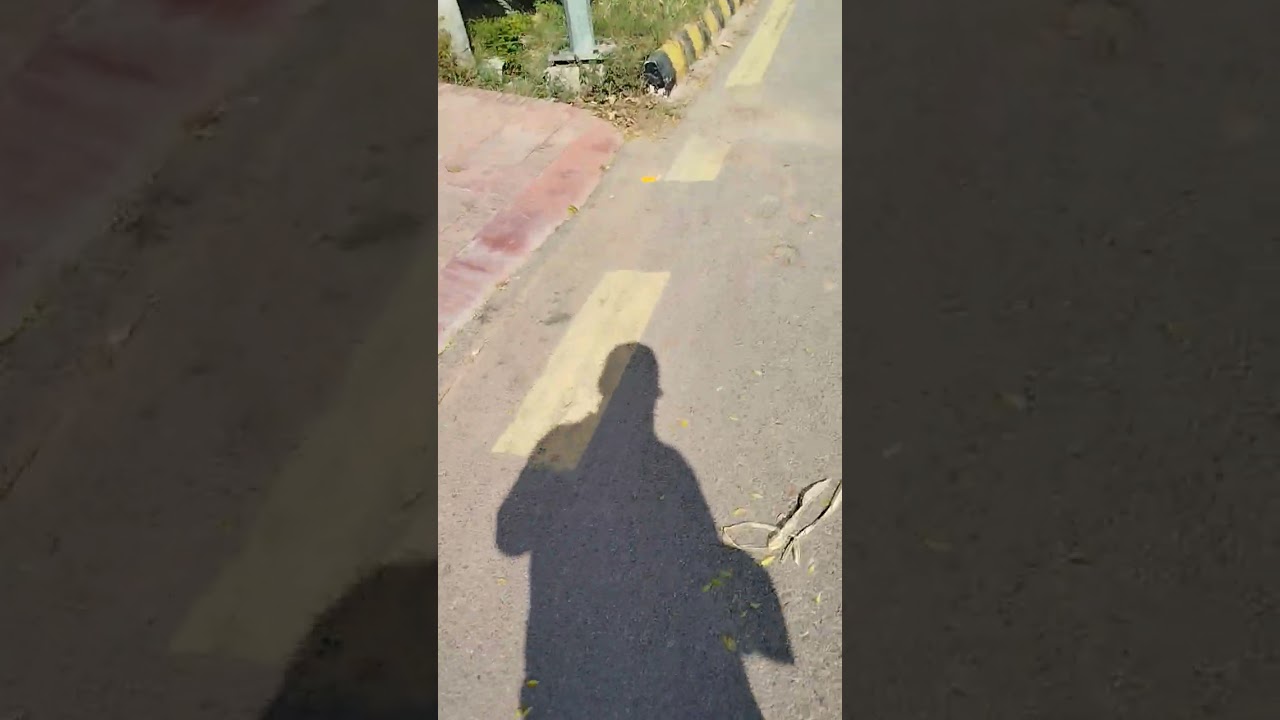 HORTICULTURE AND GARDENING |   #horticulturelife #gardenlife