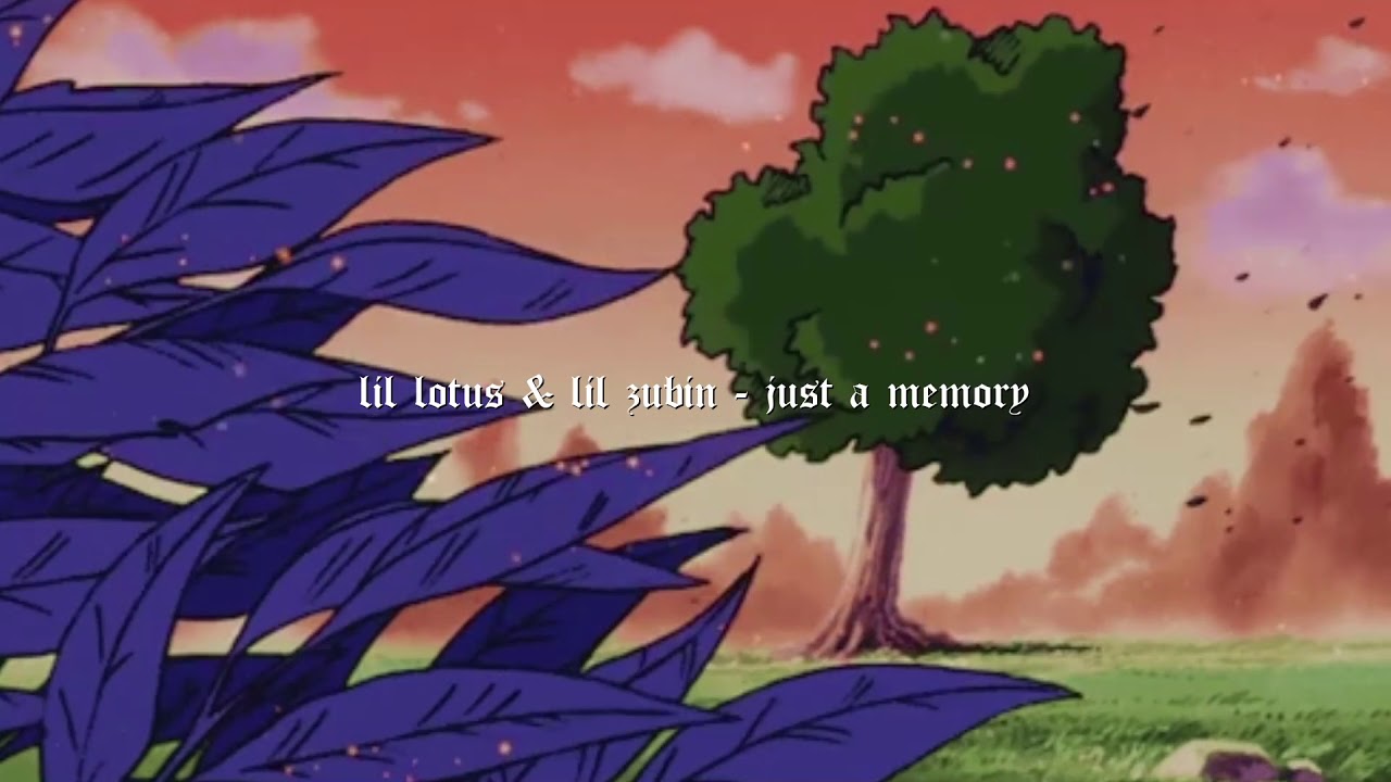 Lil Lotus - just a memory (ft. lil zubin) [prod. nedarb]