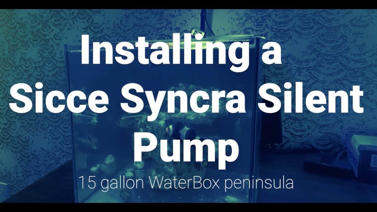 Installing Sicce Pump on 15 gallon Waterbox Aquarium