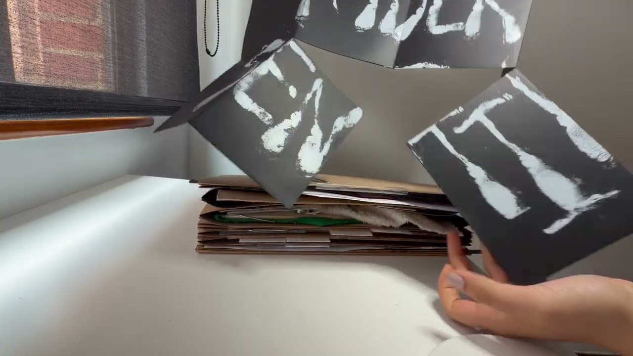 Libro arte video