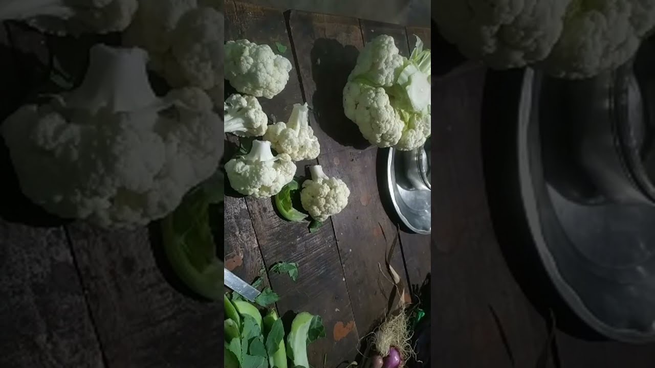 Nature and art channel is live