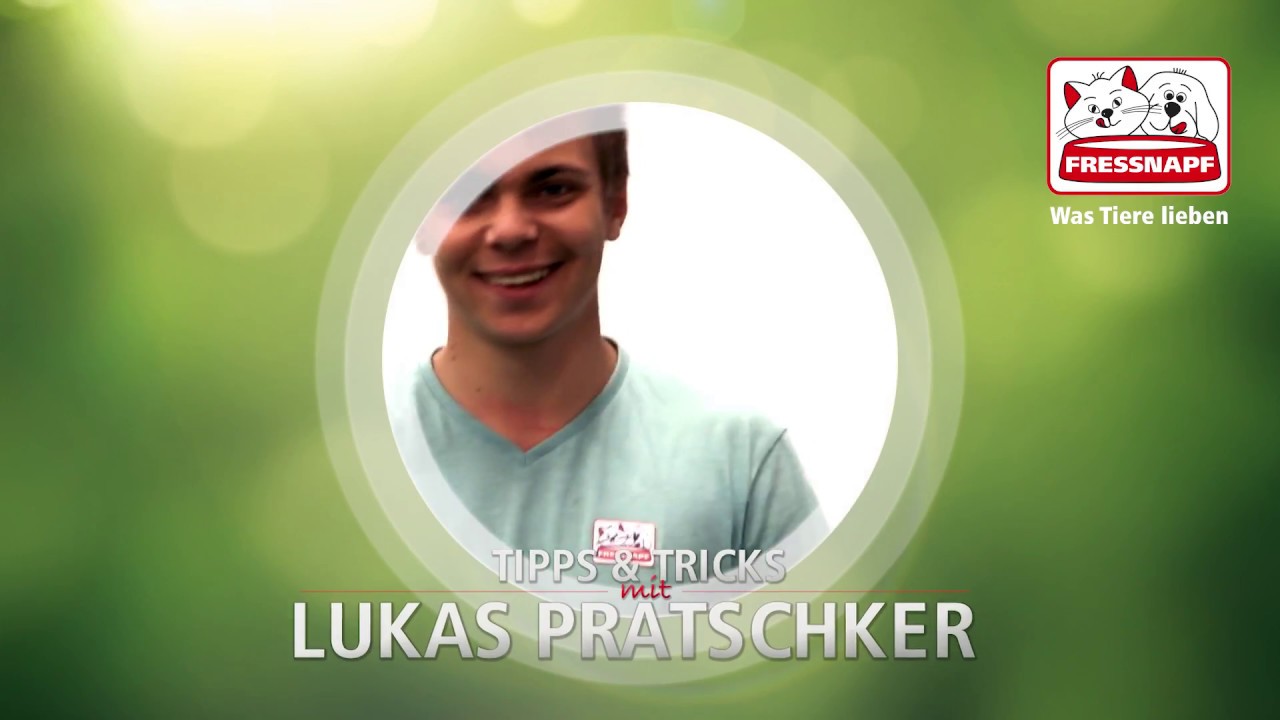 Geräuschtraining mit Lukas Pratschker