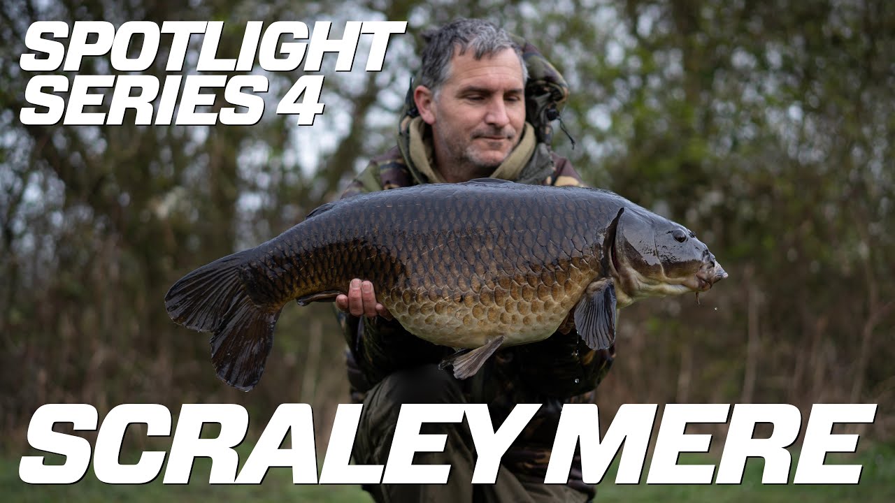 Spotlight series 4: Stunning Carp! | Scraley Mere