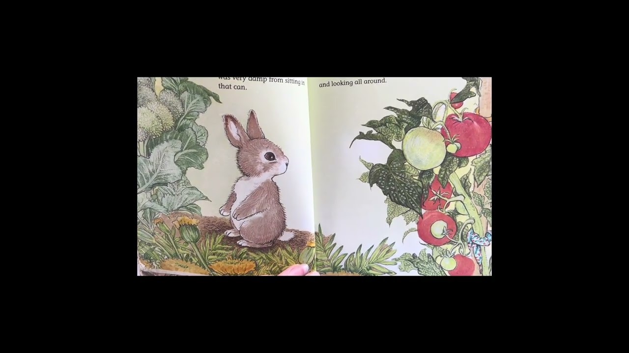 The Tale of Peter Rabbit and Granny’s Beatrix Potter sculpture.  