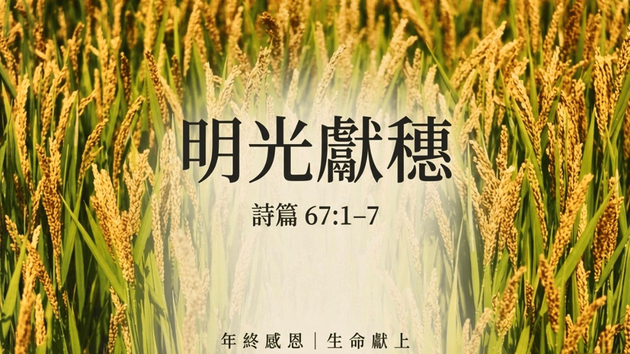 明光獻穗｜盧小玲 (115.02.15)