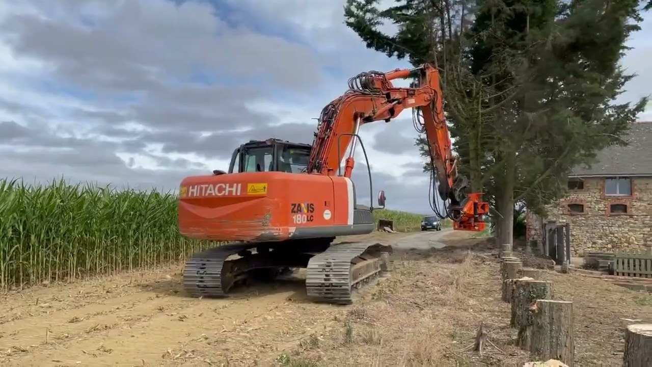 Grappin tronçonneuse, coupe arbre, abattage, démontage, sécurité.