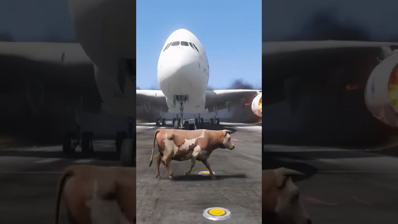 Crazy Cow Accidentally Come Runway During  Airplane Landing