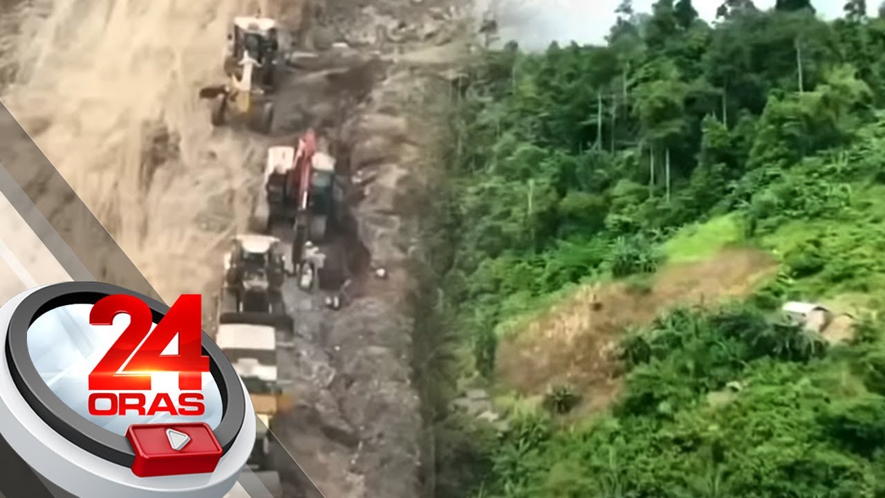 Mula sa 17-Mha na kagubatan sa bansa, bumaba ito sa 7.2-Mha noong 2020 | 24 Oras