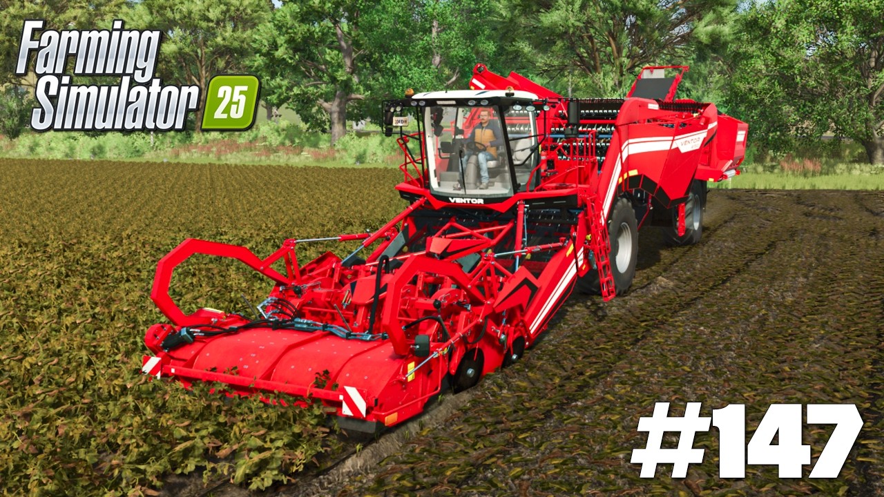 Kopanie ziemniaków 🥔 - Farming Simulator 25 | #147
