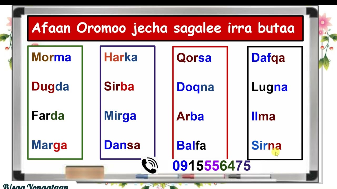 Jecha sagalee irra butaa Afaan Oromoo 