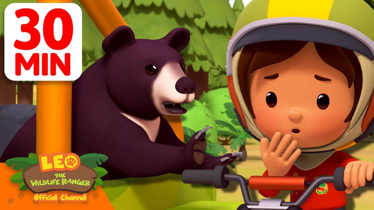 Lost Baby Moon Bear in the Mountains! 🐻👶 | 30 Min | Leo the Wildlife Ranger | #animals