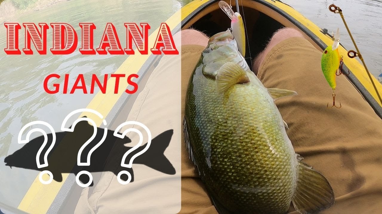 Smallmouth fishing (HUGE FISH) White River, IN