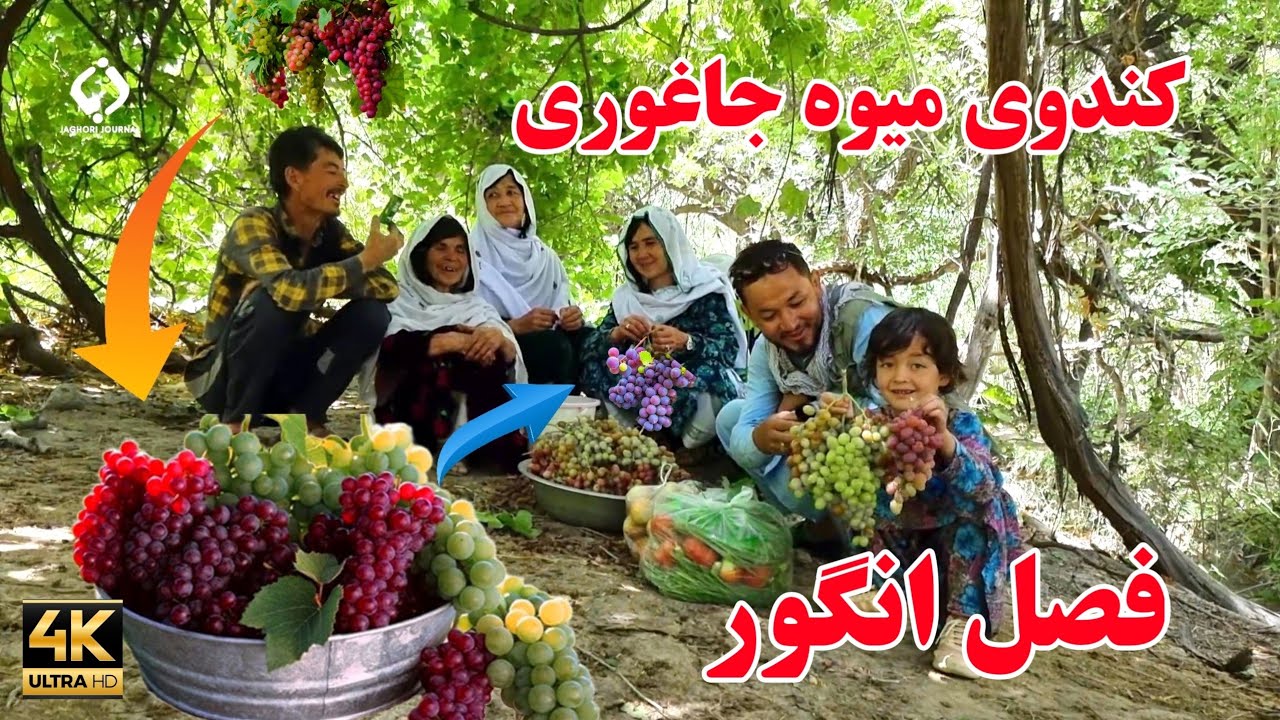 با مادرجانم رفته بودیم تیلوم انگور آوردیم | My mother and I brought sweet grapes from Tailom village