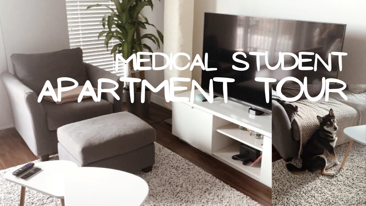 Medical Student Apartment Room Tour!! (800 sq ft 1 Bed Room)