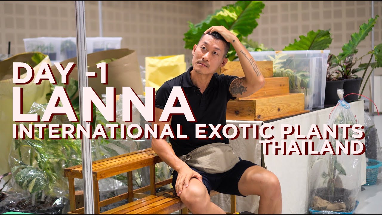 LANNA International Exotic Plants Thailand - Part 1 | Pre-show Setup And Early Access To The Best!