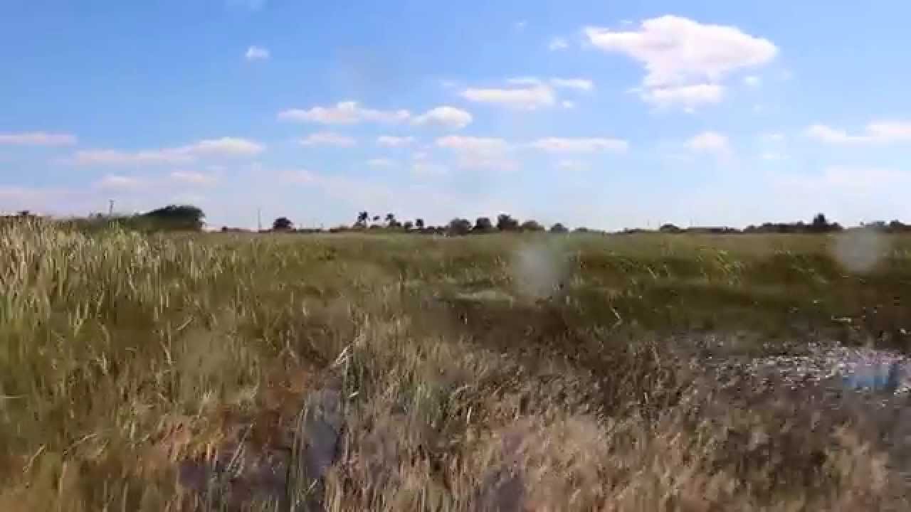 Miccosukee indian village - Florida Everglades - болота Флориды