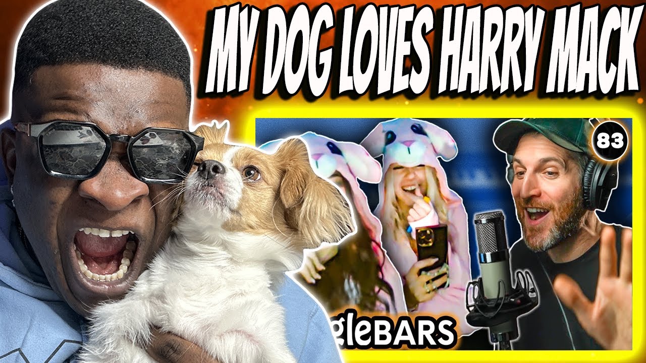 AMERICAN RAPPER REACTS | I Don't Know What You're Talking About | Harry Mack Omegle Bars 83