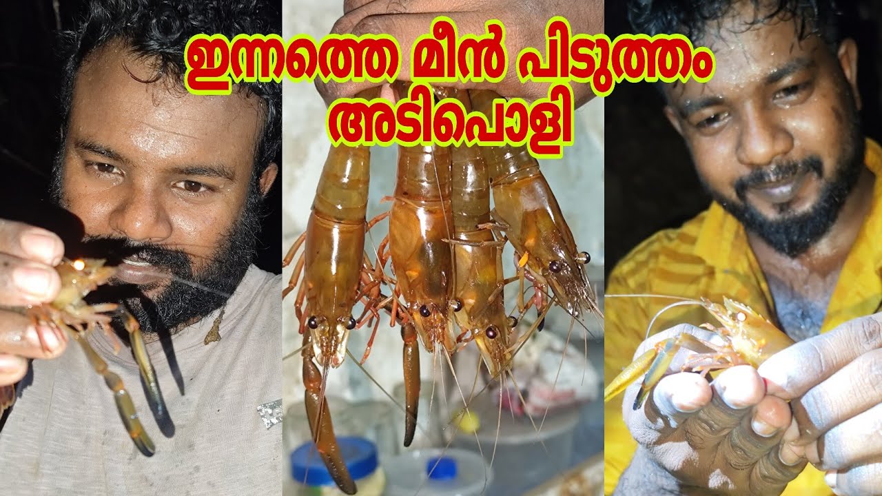 Небольшой пруд и крупные креветки | Ночная рыбалка | Ловля креветок