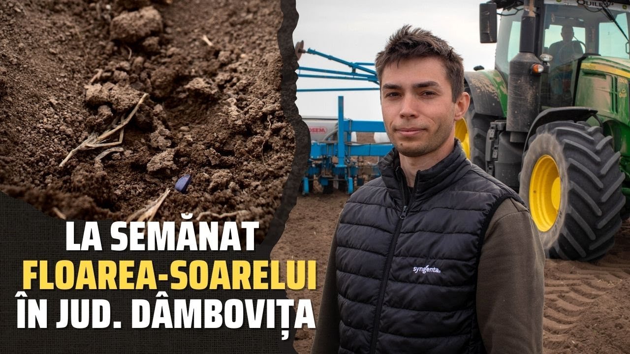 Start semanat floarea-soarelui in ferma Monteagro Invest, jud. Dambovita! #SECETA