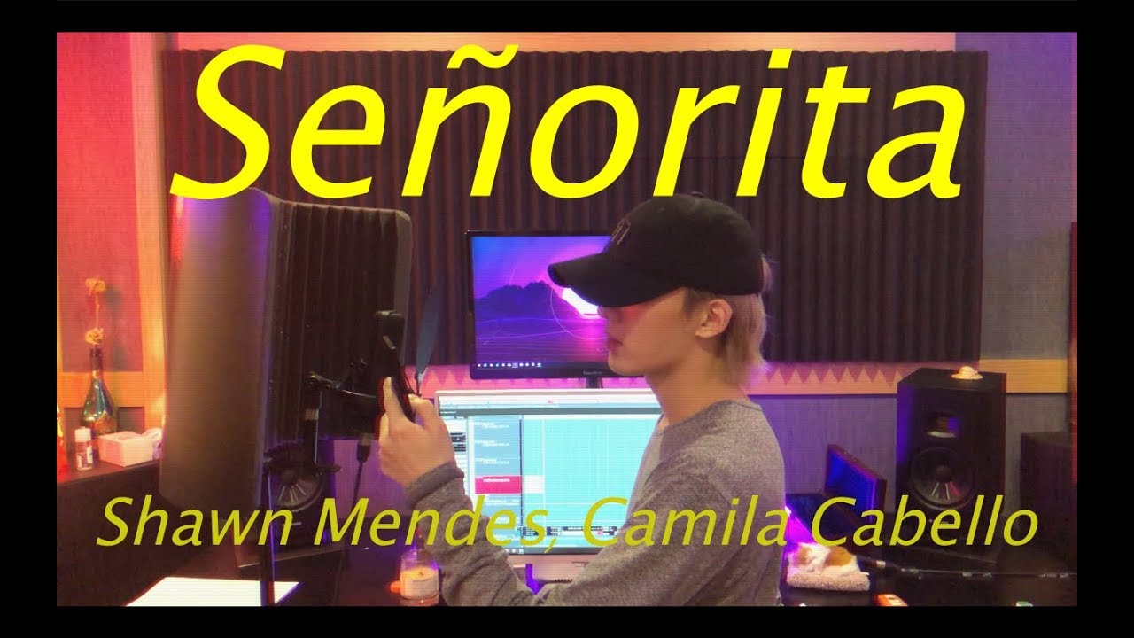 [아이원] Shawn Mendes, Camila Cabello - 'Señorita' (cover by IONE 아이원) [senorita cover]