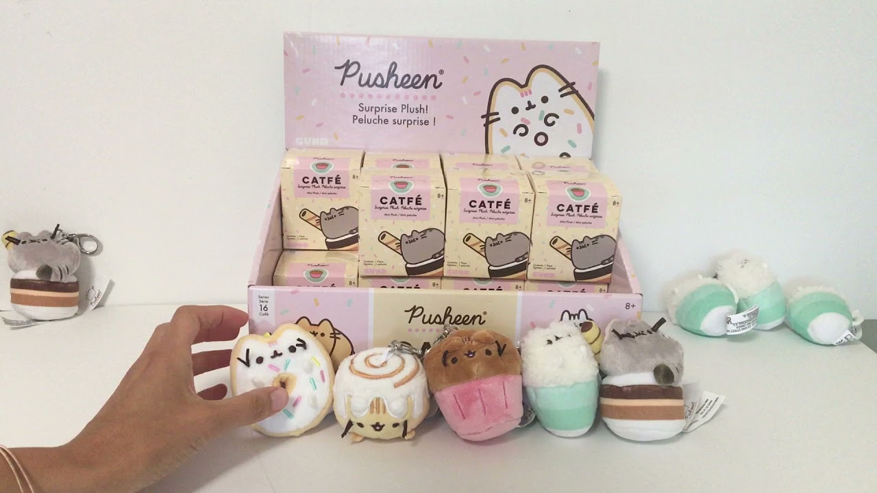Pusheen Blind Box 16 CATFE case opening (part 3!)