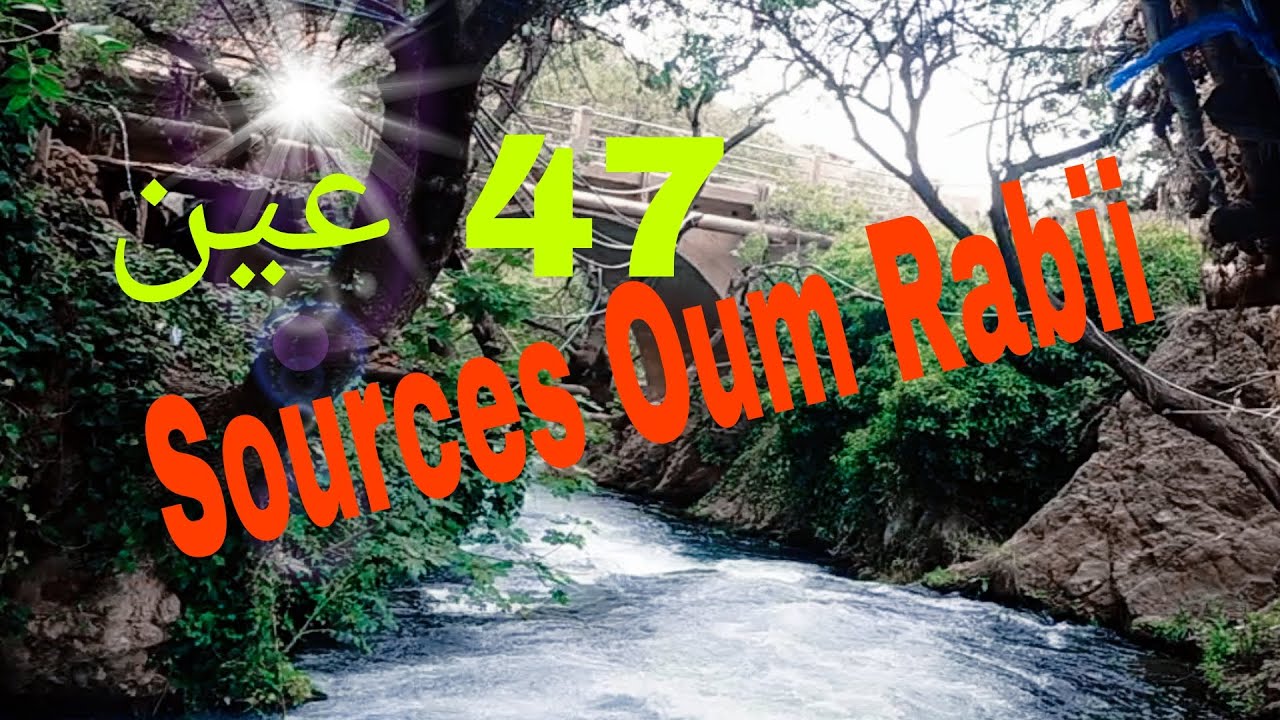#Shorts# منابيع أم الربيع 🌳السحر المتدفق بين جبال الأطلس🏞️
