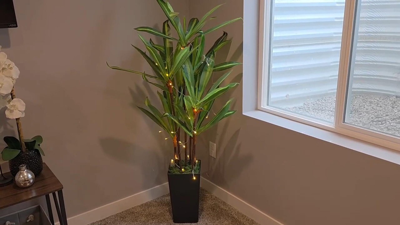 5Ft Artificial Dracaena Tree with Lights - Faux Indoor Floor Plant with Black Tall Planter