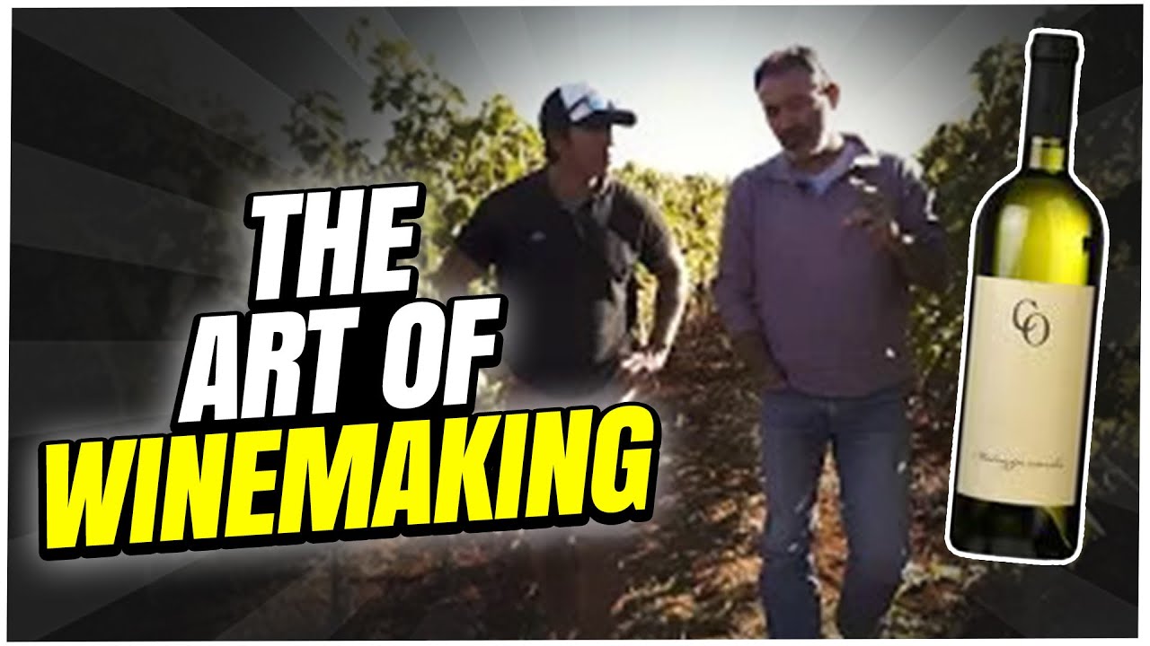 The Story of Tradition, Terroir, and Generations of Winemaking🍇 In Croatia.